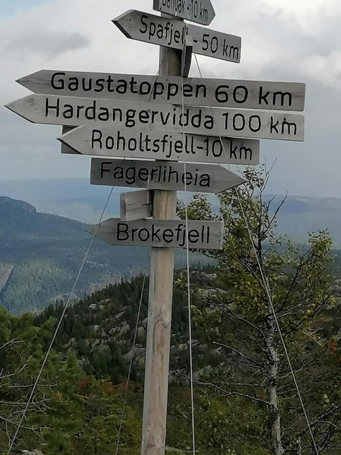 Norbel Hytte Norway Vrådal Dış mekan fotoğraf