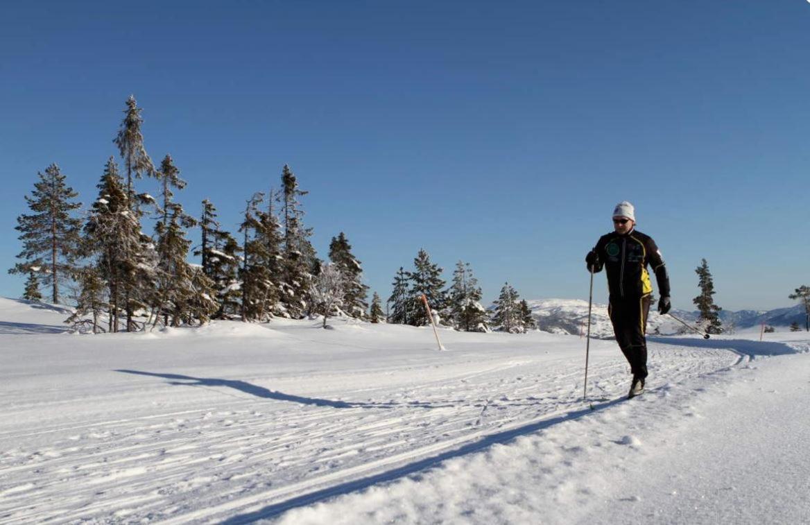 Norbel Hytte Norway Vrådal Dış mekan fotoğraf