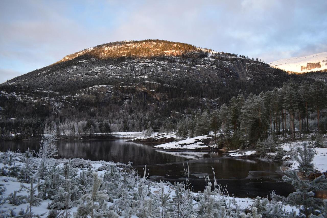 Norbel Hytte Norway Vrådal Dış mekan fotoğraf